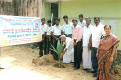 Tree Plantation